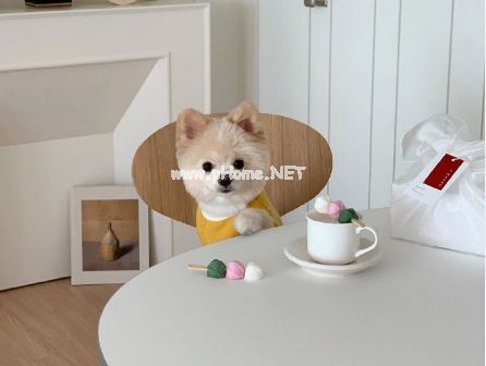 适合做微博签名的唯美诗意句子 文雅好听的微博签名