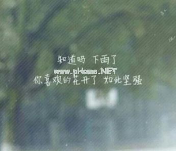 2023简短爱情幸福签名暖心 没有人是天生脾气好啊