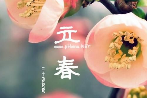立春的说说早安