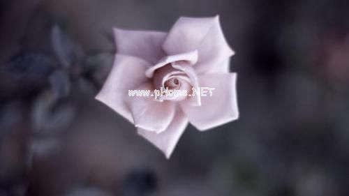 微信朋友圈的经典说说大全