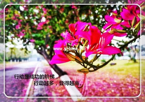 2023即将过去展望2023说说36句