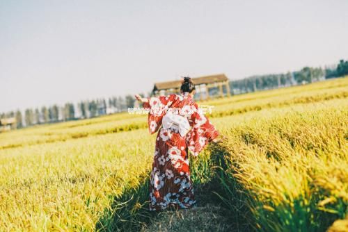 八个字的口号