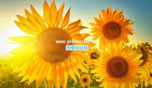 女神节对老婆说的话 祝福美女节日快乐简短