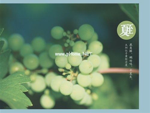 今日夏至的说说 2023夏至发朋友圈的说说29句