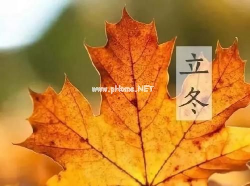 立冬说说大全心情短语2020