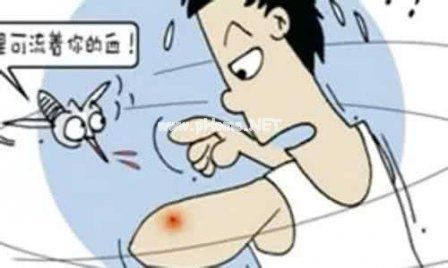 被蚊子咬的经典说说 关于蚊子的空间说说合集82句