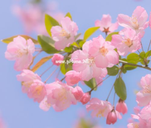 3.8女神节唯美励志的说说 3.8妇女节适合女人发的朋友圈