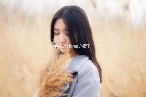 一句话情感语录简单的句子29句