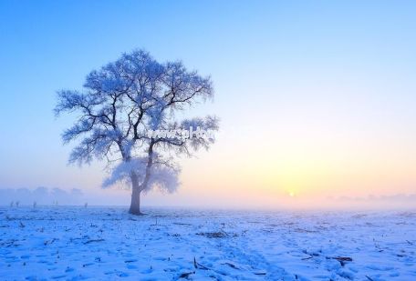 下雪天微信朋友圈说说心情短语 简单一句话下雪了说说最新