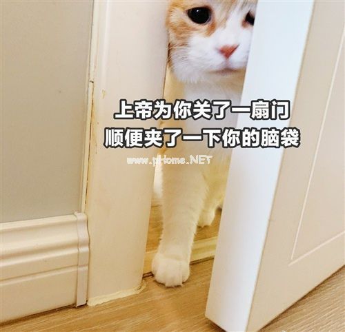 嘴巴里面上火的朋友圈说说24句