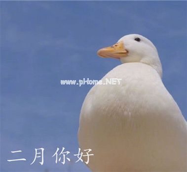 最新二月你好朋友圈文案 2023一月再见二月你好早安说说29句