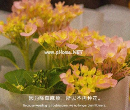 精辟又有哲理的语录 让人醒悟很有哲学的霸气说说锦集24句