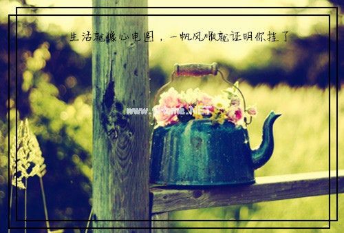 有关嘴硬心软的说说 刀子嘴豆腐心说说