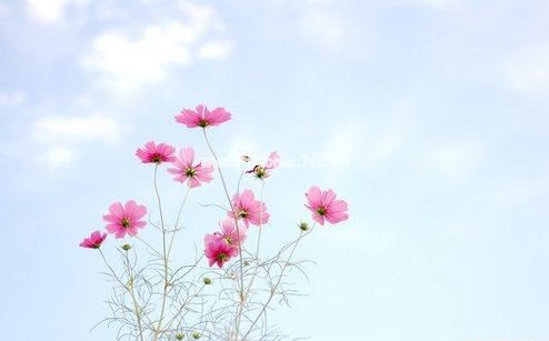 朋友圈必点赞的早安说说 关于早安的说说31句