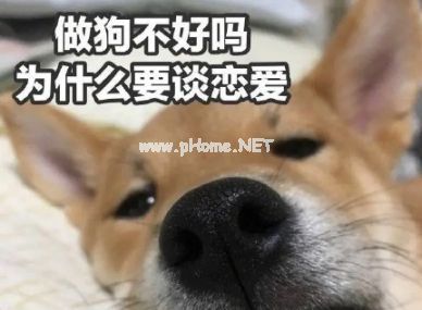 2023独自过520的搞笑说说吸引人 适合520情人节的沙雕文案