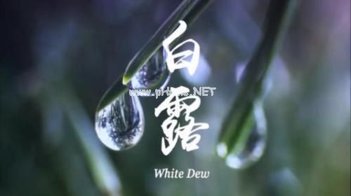 白露节气的朋友圈说说24句