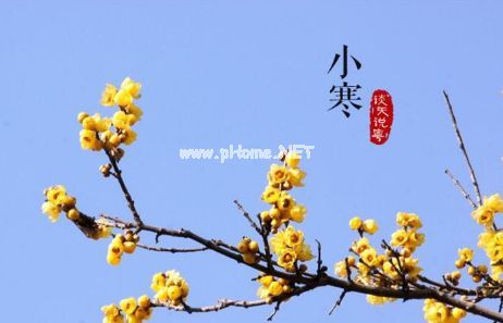 2023小寒朋友圈祝福说说大全 关于小寒的微信朋友圈祝福说说2