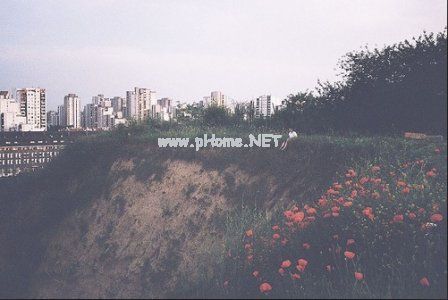 个性搞笑空间说说心情