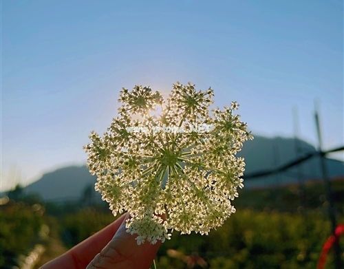 写给迷茫无助的自己说说精选50句