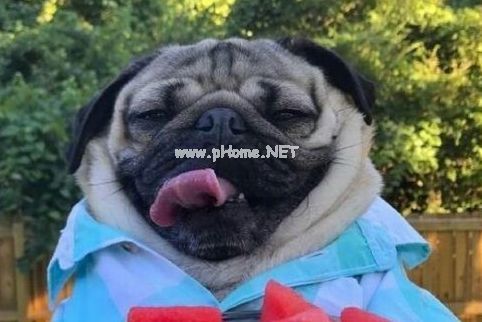 最逗比自黑搞笑的个性说说大全 自嘲幽默搞笑的句子说说