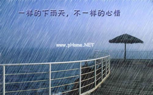 关于下雨天的经典搞笑说说
