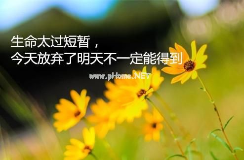 自拍发抖音的说说简单点