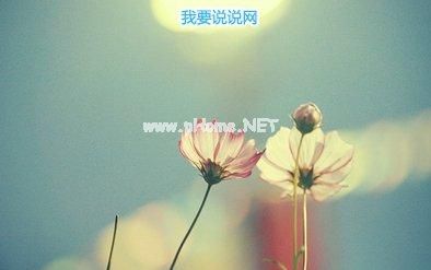 2021最新简单晚安短句子