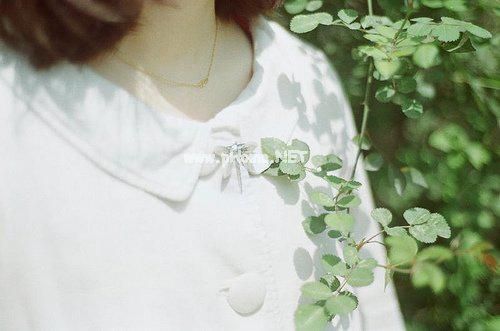 女生伤感的说说心情句子29句