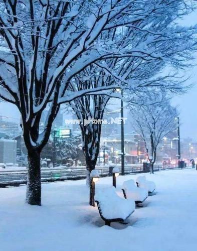 2021抖音雪天最火的文案 下雪天发抖音文案