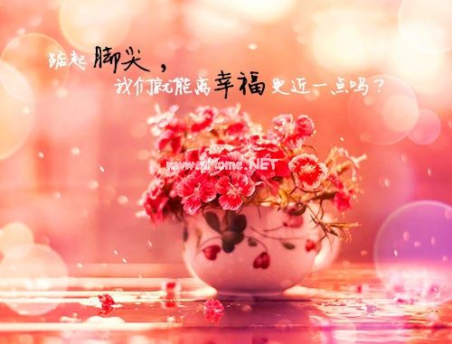 在家看电视也是一种享受的说说22句