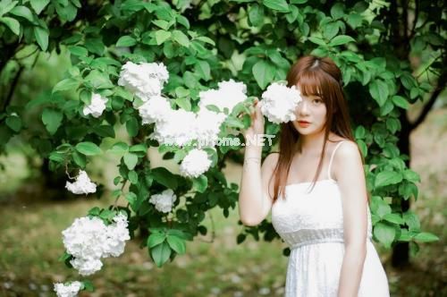 迎接6月的说说一句话 开启六月的第一条说说