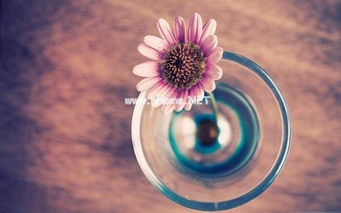 闺蜜发朋友圈的精美句子27句