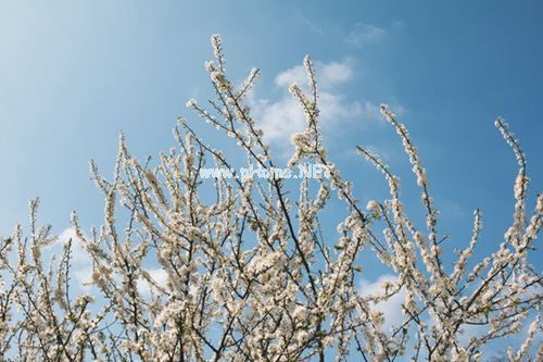 关于爱情迷茫的说说