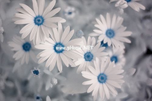 想发朋友圈早上好怎么写 早上好的句子朋友圈点赞的短句