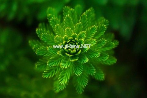 表达心里紧张的说说 紧张的心情说说