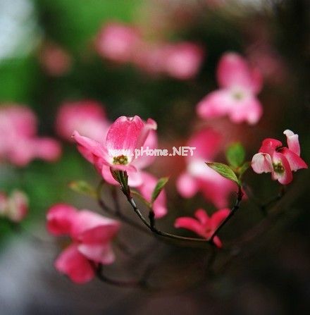 有创意的结婚祝福语 祝福对方的新婚句子44句