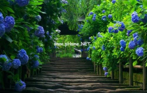 表达心存感激的句子发朋友圈