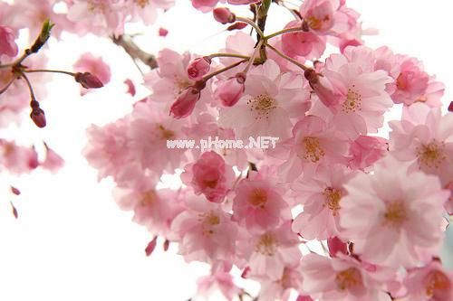 生活忙碌而充实的句子36句