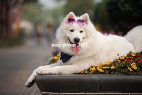 【推荐】让人狂赞的说说汇编82句
