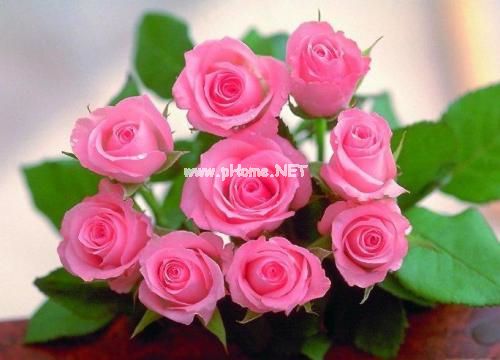 关于结婚的祝福说说 结婚说说怎么发朋友圈