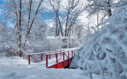 下雪了的说说心情短语2023图片 下雪说说带图片简短精选