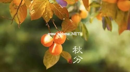 秋分说说短语精选