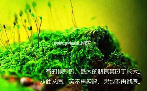 2020年跨年文案 2020年年底文案句子