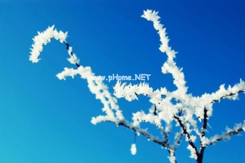 霜降说说经典句子 心情短语