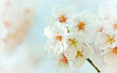 闺蜜发朋友圈的文案 闺蜜情深的句子大全