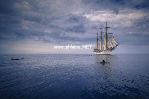 方便面说说55句