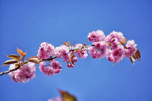朋友圈关于五月的句子五一发朋友圈的精美句子