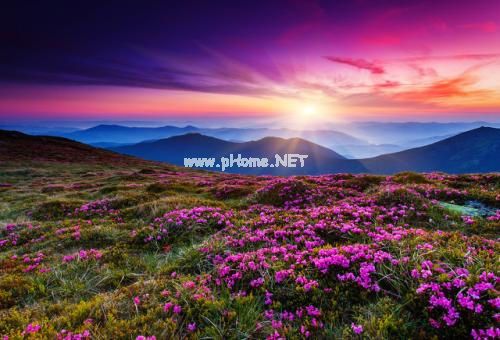 七夕情话短句大全 七夕节给女朋友的情话