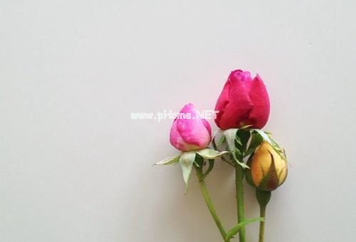吸引人的快手文字大全