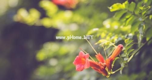 比较适合发朋友圈的晚安短句子